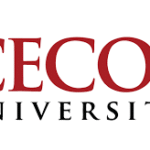 CECOS University Jobs Lecturer