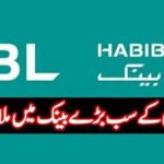 AL Habib Exchange Company
