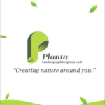 Planta Landscaping & Irrigation LLC